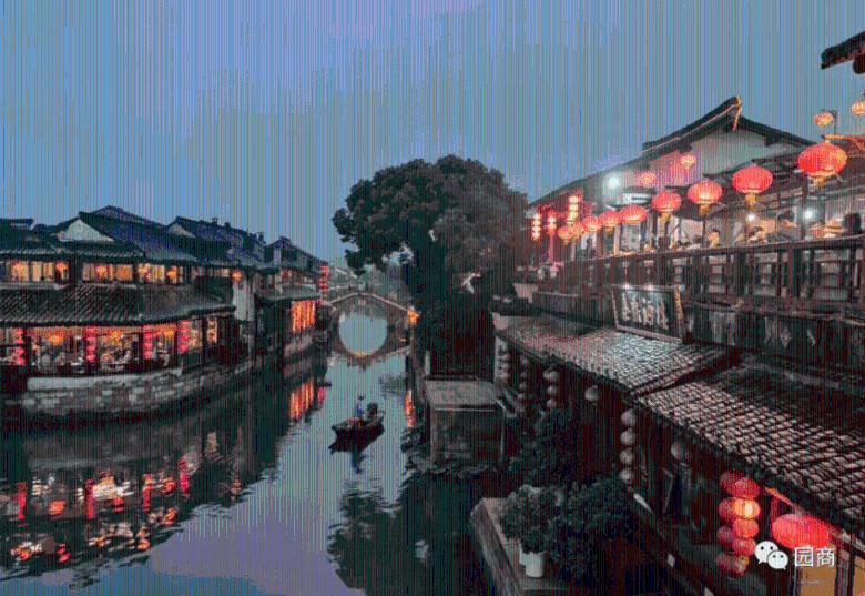 蔬菜基地 收割忙